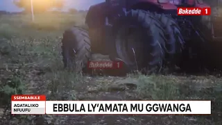 Agataliikonfuufu Ebbula ly'amata mu ggwanga livudde ku kyeya abalunzi balaajana