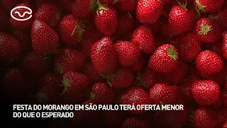 Strawberry Festival in São Paulo to have smaller supply than expected