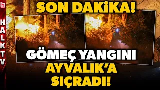 BREAKING NEWS! Fire disaster continues in Balıkesir! Gömeç fire spreads to Ayvalık!