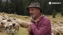 Greu se mai formează acum un cioban din tată-n fiu!