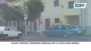 SRV PERTOSA ORDINANZA SINDACALE PER LA TUTELA DEGLI ANIMALI