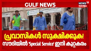 പ്രവാസികൾ സൂക്ഷിക്കുക! സൗദിയിൽ 'Special Service' ഇനി കുറ്റകരം |  Saudi Rules| 4K | N18G