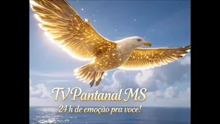 VINHETA 12 ANO 2026