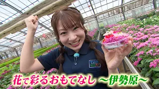 「花で彩るおもてなし～伊勢原～」かながわ旬菜ナビ 2026/7/5放送