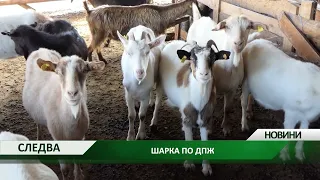 Централна емисия новини на Агро ТВ: Ваксинация срещу шарката по ДПЖ, милиони евро за пострадалите..