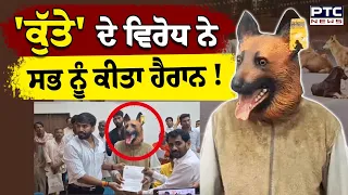 Dog Sterilization Khandwa : ਦੱਸੋ ਸਰ...ਇਸ 'ਕੁੱਤੇ' ਦੀ ਨਸਬੰਦੀ ਹੋ ਚੁੱਕੀ ਹੈ ਪਰ ਇਸਦੇ 6 ਬੱਚੇ ਹਨ| MP|Protest