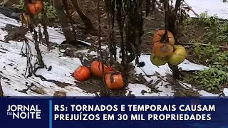 RS: Tornadoes and storms cause damage to 30,000 properties | Jornal da Noite