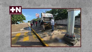 Basura y animales muertos continúan dejando en fraccionamiento de Coatzacoalcos