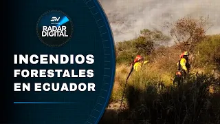 Incendio forestal en el volcán Cotacachi arrasa cerca de 600 hectáreas | Radar Digital | Ecuavisa