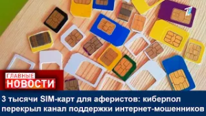 3 тысячи SIM-карт для аферистов: киберпол перекрыл канал поддержки интернет-мошенников