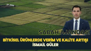 SABAH AJANDASI I BİTKİSEL ÜRÜNLERDE VERİM VE KALİTE ARTIŞI - İSMAİL GÜLER
