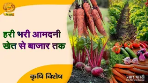 Krishi Vishesh | कृषि विशेष- हरी भरी आमदनी खेत से बाजार तक | DD Kisan | March 05, 2026