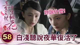 天真公主遇戲友大談已故表哥往事 殊不知眼前的人就是寡嫂【三生三世十里桃花】精華 EP58-5 楊冪、趙又廷、迪麗熱巴、高偉光、張智堯 @ctvdrama_classic
