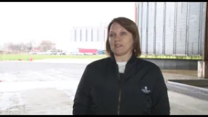 Pšenica u dobrom stanju nakon kiše i snega