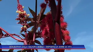 GIANNI DI VITA'S DEVICES SEIZED BY THE MOBILE SQUAD