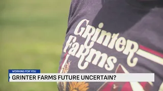 Proposed data center sparks fear for future of Grinter Farms iconic sunflower fields