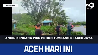 Strong Winds Trigger Fallen Trees in Aceh Jaya | Today's Aceh News