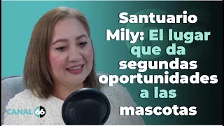 Santuario Mily: El lugar que da segundas  oportunidades a las mascotas