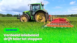 GLD Nieuws 3 maart 2026