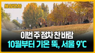 이번 주 점차 찬 바람…10월부터 기온 뚝, 서울 9℃ [세상만사] #날씨 #올가을 #첫서리 #태풍북상 #일본