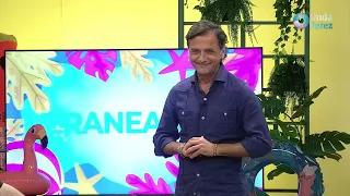 VERANEANDO T01xP05 - MIÉRCOLES 08/07/2026