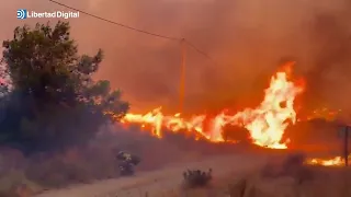 Forest fire in the Almerian town of Los Gallardos