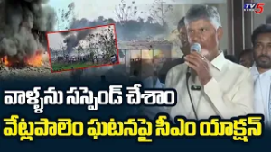 CM Chandrababu Orders to Suspend 4 Officials Including DSP in Vetlapalem Fire Accident | TV5 News