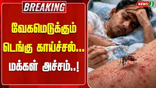 #BREAKING || Dengue fever spreading rapidly... Public in fear..! | NewsJ