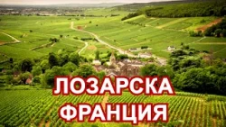 ВЗЕХМЕ ОТ ФРАНЦИЯ СОРТОВЕ ГРОЗДЕ И НИЩО ОТ ОРГАНИЗАЦИЯТА!