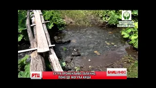 BLIC INFO 17.08.2026. RT CARIBROD DIMITROVGRAD