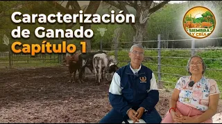SIEMBRA Y CRÍA - CARACTERIZACIÓN DE GANADO / CAPÍTULO 1