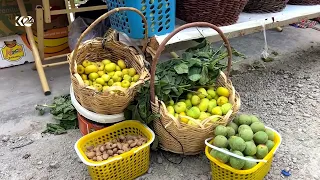 فێستیڤاڵی بەرهەمە خۆماڵیی و کولتوورییەکان له‌ هه‌ورامان به‌ڕێوه‌چوو