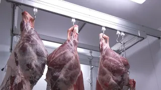 Formimpresa, Meat and Deli Counter Clerk Course 07/29/2026