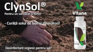 CE VOR PLANTELE CHRISTINA GHIBU  P2 16.02.2026