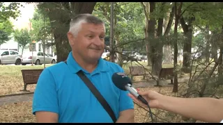Žetva pšenice u punom jeku