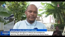 Mobilização de água e reforço da assistência técnica. Os desafios da agricultura no Porto Novo