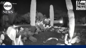 New video of car emerges in Nancy Guthrie investigation