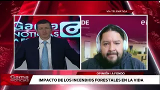 🔴 In-Depth | Impact of forest fires / 8/17/2026