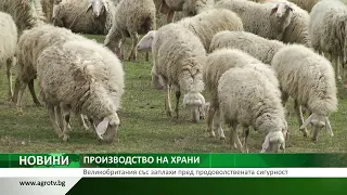 Англия със заплахи пред продоволствената сигурност