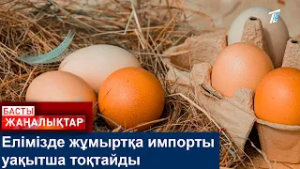 Елімізде жұмыртқа импорты уақытша тоқтайды