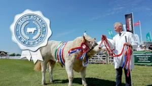 Beidh Aonach Amárach