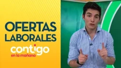 PEPE JOBS: The best employment tips with Pepe López | Contigo en la Mañana