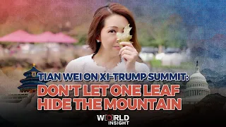 Tian Wei on Xi–Trump summit: Don't let one leaf hide the mountain