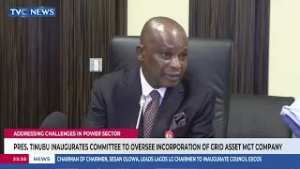 Pres. Tinubu Inaugurates Committee To Oversee Incorporation Of Grid Asset Mgt Company