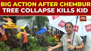 11-Year-Old Dies As Tree Falls On School Bus In Chembur; Civic Body Pruning Methods Exposed