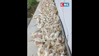 Une explosion dans une usine de traitement de batteries de la province de Kampong Speu
