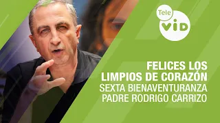 The Sixth Beatitude: Blessed Are the Pure in Heart, Father Rodrigo Carrizo | Tele VID
