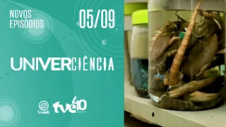 EP 13 • S8 UNIVERCIENCIA
