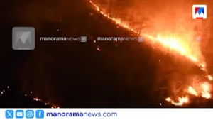 പത്തനംതിട്ടയിൽ കാട്ടുതീ പടരുന്നു: അള്ളുങ്കൽ വനമേഖലയിൽ വൻ നാശനഷ്ടം |  Pathanamthitta