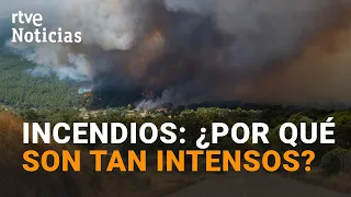 Why are wildfires becoming increasingly difficult to control? | RTVE News